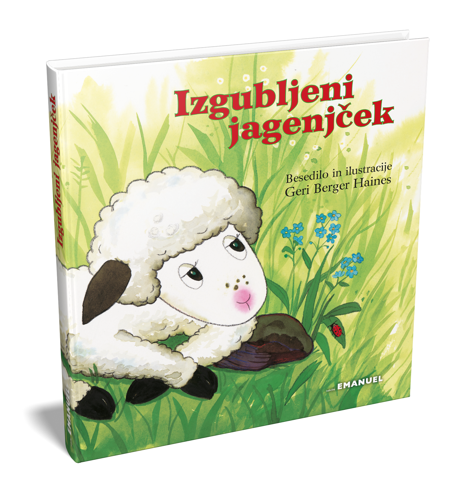 Izgubljeni jagenjček - slika 2