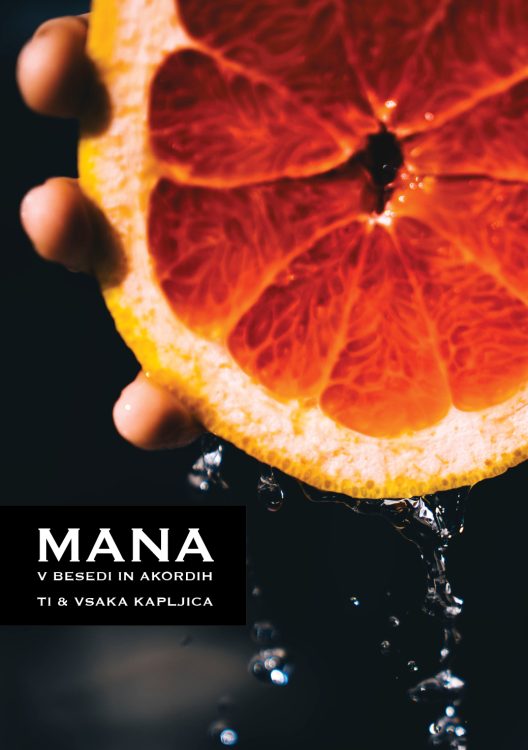 Mana v besedi in akordih - pesmarica
